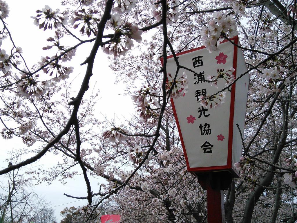 Himeyado Hanakazashi Gamagōri Zewnętrze zdjęcie